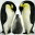 paulipeig.wordpress.com