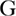 stevegammon.com
