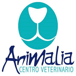 animaliacv.net