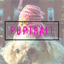 puptrait.com