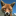 tibsfox.com