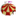 circogrock.com