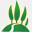 paganico.com