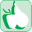 apgasa.com
