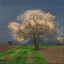 laurent.chouteau.over-blog.com