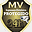 mvisionseg.com