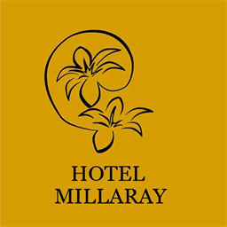 hotelmillaray.com