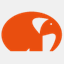 cosmoze.com