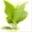 ycsqw.com