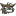 wolfey.sillydog.org