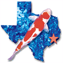 lonestarkoi.com