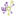 winetwork.eu