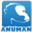 anuman-interactive.com