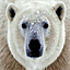 peterbeardwood.com