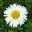hazel12.wordpress.com