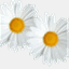 rsmart.wordpress.com