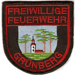 feuerwehr-gruenberg-online.de.tl