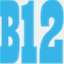 b12.cn