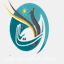 sainaroshan.com