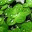chigiaolang.wordpress.com