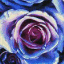 mansun.co.uk