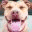 petpolicy.org