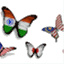 iisinternational.net
