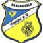 blindjet.org