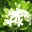 bioea.wordpress.com