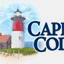 capecodchips.com