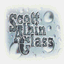scottalbinglass.com