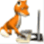 foxvalleycomputerservices.com