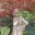 forestskier.wordpress.com