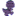 wigglewoo.com