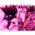 jasminephotowork.wordpress.com