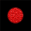 oldpaulites.org