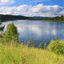 cisownik.pl