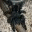 josehon.wordpress.com