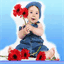 windelstar.com