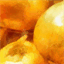 siolepiene.it