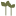 evergreenpropertyoptions.com