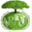 apfnp.org