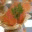 chefrivera.wordpress.com