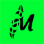 mitasquash.com