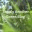 simplyanothergreenblog.wordpress.com