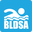 bldsa.org.uk