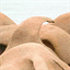 imarker.mobi