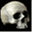 skullvalley.org