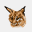lynx.invisible-island.net