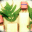 neuleaph.com
